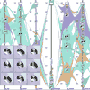 Cupid in M. Beham, W. Herzner, M.E. Gröller, and J. Kehrer 2014: Cupid: Cluster-based exploration of geometry generators with parallel coordinates and radial trees