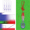 Comparison of Lagrangian transport in M. Hummel, H. Obermaier, C. Garth, and K.I. Joy 2013: Comparative visual analysis of Lagrangian transport in CFD ensembles