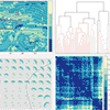 Multimodal directional distributions in M. Jarema, I. Demir, J. Kehrer, R. Westermann 2015: Comparative visual analysis of vector field ensembles