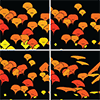 Glyph-based 3D data visualization in A.E. Lie, J. Kehrer, and H. Hauser 2009: Critical design and realization aspects of glyph-based 3D data visualization