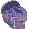 3D contour boxplots in M. Raj, M. Mirzargar, J.S. Preston, R.M. Kirby, R.T. Whitaker 2015: Evaluating alignment of shapes by ensemble visualization