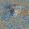 Nested surfaces in C. Weigle and R. Taylor II 2005: Visualizing intersecting surfaces with nested-surface techniques