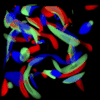 Chronovolumes in J. Woodring and H.-W. Shen 2003: Chronovolumes: A direct rendering technique for visualizing time-varying data