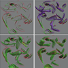 Set and numerical operators in J. Woodring and H.-W. Shen 2006: Multi-variate, time-varying, and comparative visualization with contextual cues